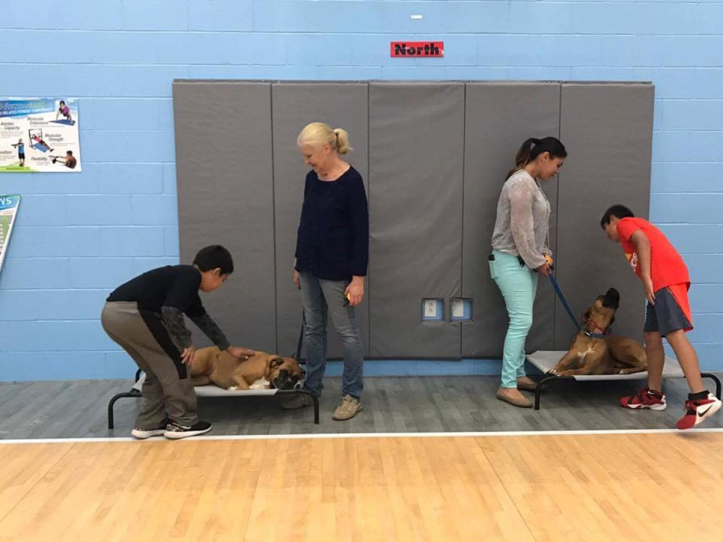 Puppy Program The Balanced Dog